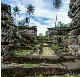 Paranuii Crispy Pata
